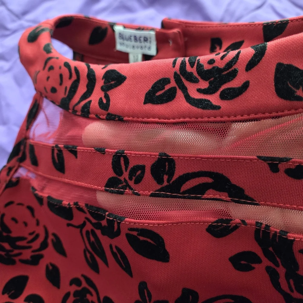 Bluebery Boulevard Red and Black Floral Kids Dress Sz 12
